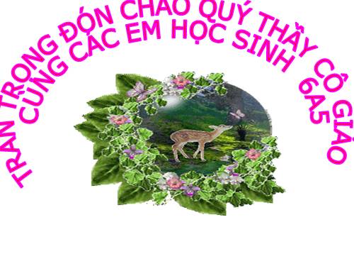 Ôn tập Chương II. Số nguyên