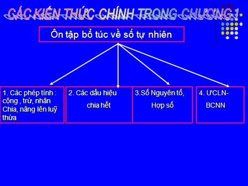 Ôn tập Chương I. Ôn tập và bổ túc về số tự nhiên