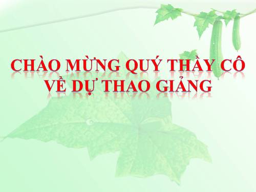 Chương I. §13. Ước và bội