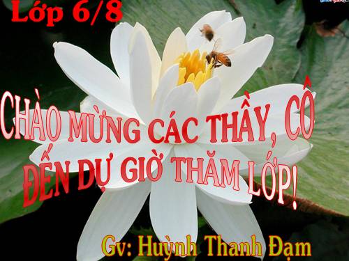 Chương II. §4. Cộng hai số nguyên cùng dấu