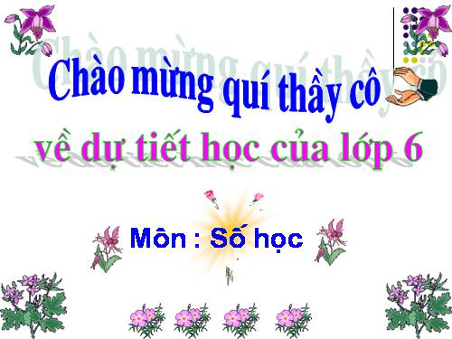 Các bài Luyện tập