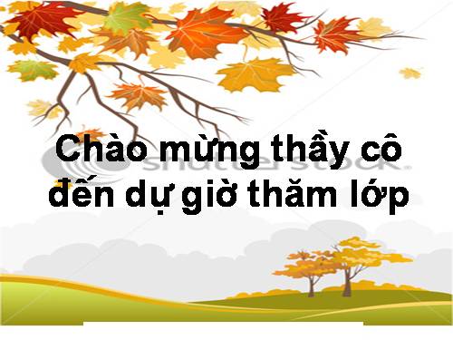 Chương I. §13. Ước và bội