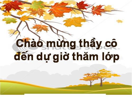 Chương III. §7. Phép cộng phân số