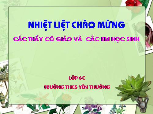 Chương II. §5. Cộng hai số nguyên khác dấu