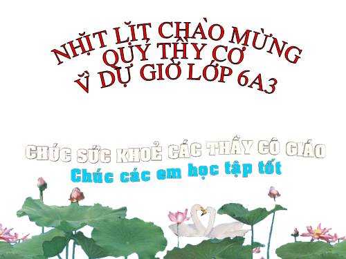 Chương I. §14. Số nguyên tố. Hợp số. Bảng số nguyên tố