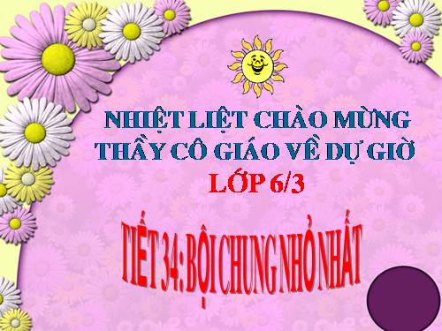 Chương I. §18. Bội chung nhỏ nhất