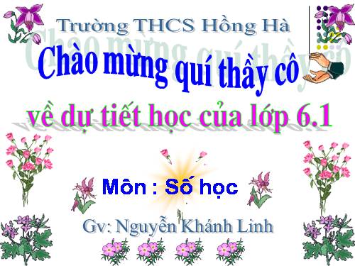 Các bài Luyện tập