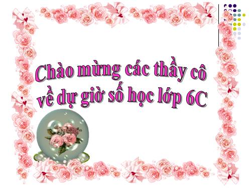 Các bài Luyện tập