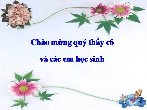 Chương III. §11. Tính chất cơ bản của phép nhân phân số