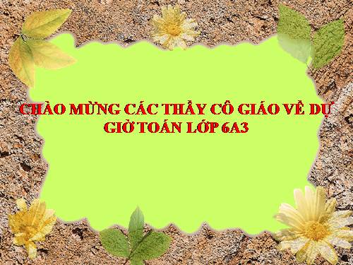 Các bài Luyện tập