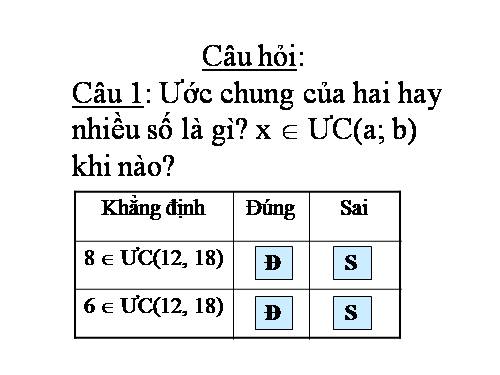 Các bài Luyện tập