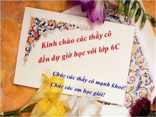 Chương III. §11. Tính chất cơ bản của phép nhân phân số