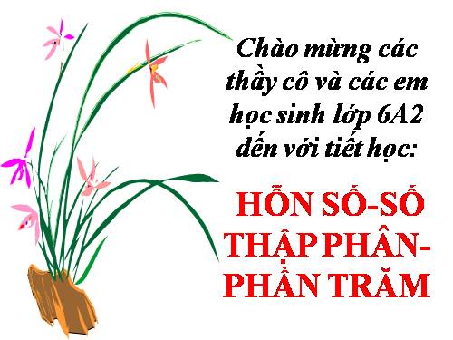 Chương III. §13. Hỗn số. Số thập phân. Phần trăm