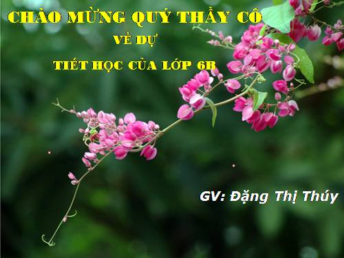 Chương II. §6. Tính chất của phép cộng các số nguyên