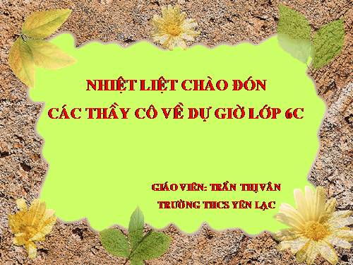 Các bài Luyện tập