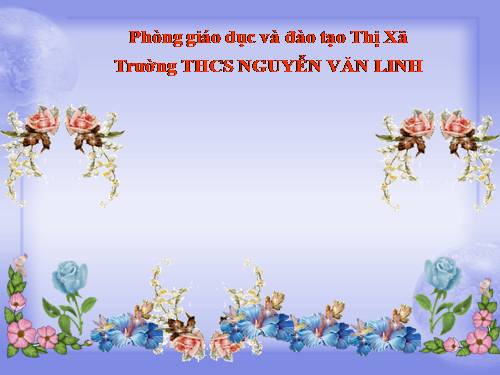 Các bài Luyện tập