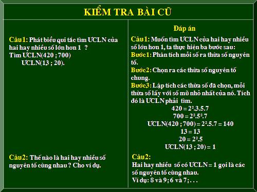 Các bài Luyện tập