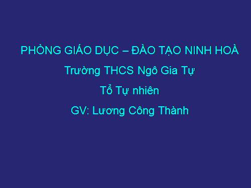 Chương I. §18. Bội chung nhỏ nhất