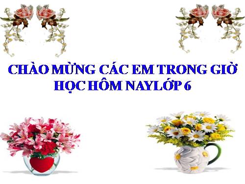 Chương II. §2. Tập hợp các số nguyên