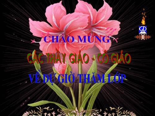 Chương III. §3. Tính chất cơ bản của phân số