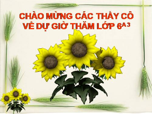 Ôn tập Chương I. Ôn tập và bổ túc về số tự nhiên