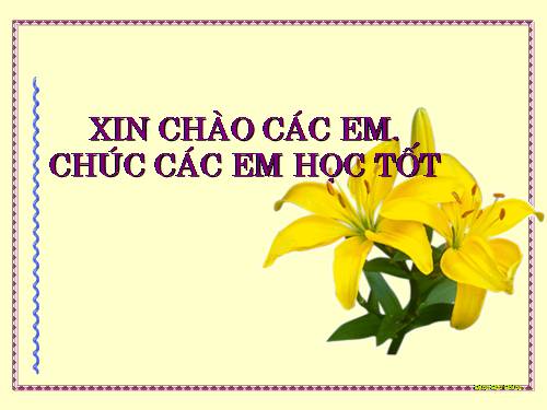 Chương I. §14. Số nguyên tố. Hợp số. Bảng số nguyên tố