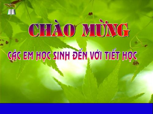 Chương I. §17. Ước chung lớn nhất