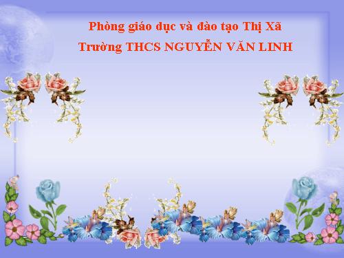 Các bài Luyện tập