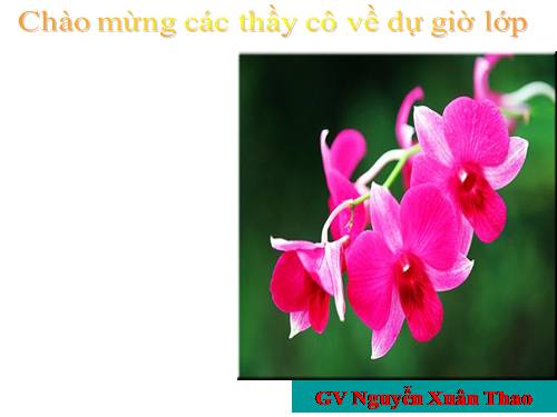 Chương I. §18. Bội chung nhỏ nhất