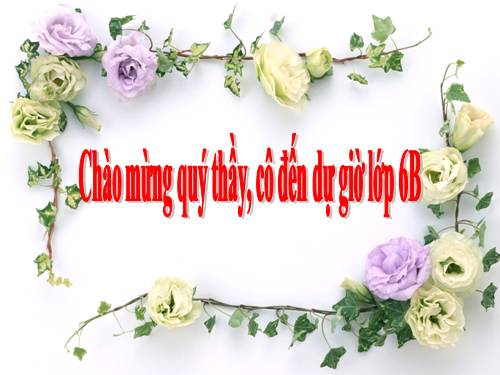 Chương I. §11. Dấu hiệu chia hết cho 2, cho 5