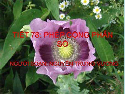 Chương III. §7. Phép cộng phân số