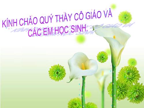 Chương III. §9. Phép trừ phân số