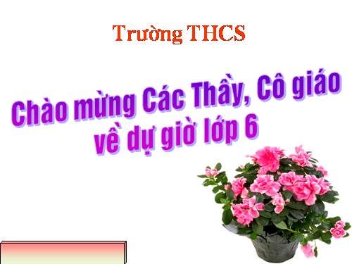 Chương III. §17. Biểu đồ phần trăm