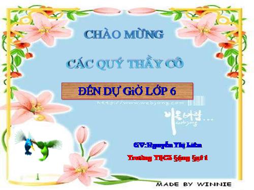 Chương III. §17. Biểu đồ phần trăm