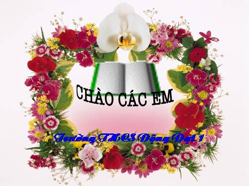 Các bài Luyện tập