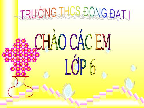 Các bài Luyện tập