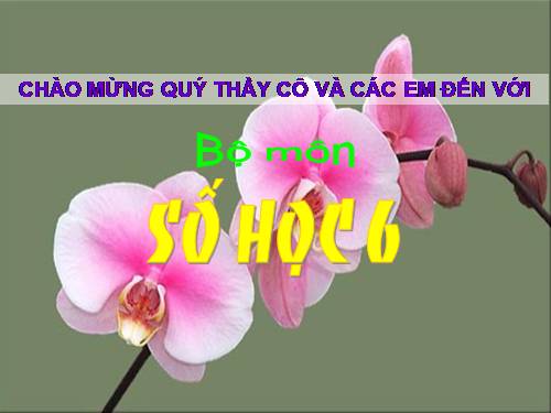 Chương III. §14. Tìm giá trị phân số của một số cho trước