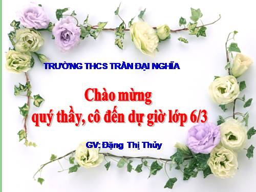 Chương III. §13. Hỗn số. Số thập phân. Phần trăm