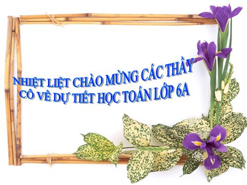 Các bài Luyện tập