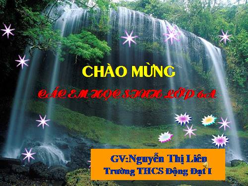 Các bài Luyện tập