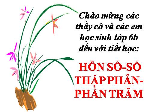 Chương III. §13. Hỗn số. Số thập phân. Phần trăm