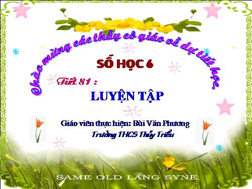 Các bài Luyện tập