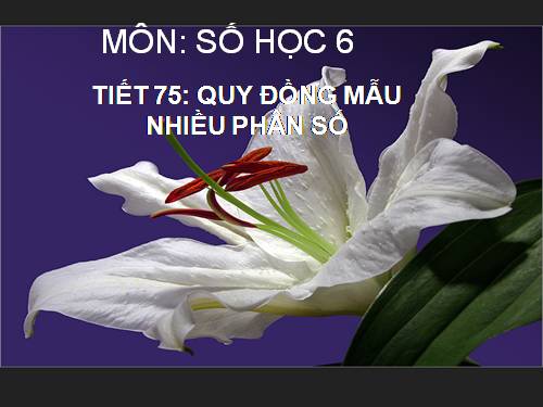 Chương III. §5. Quy đồng mẫu nhiều phân số