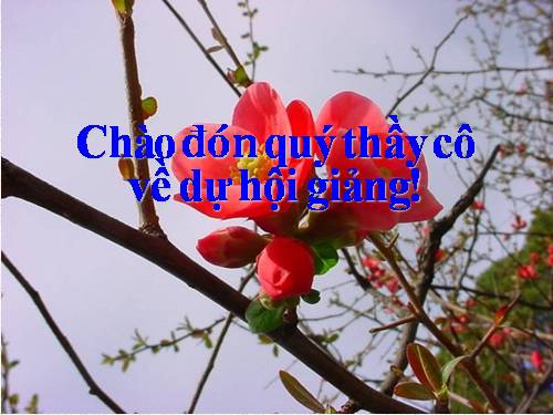 Chương II. §2. Tập hợp các số nguyên