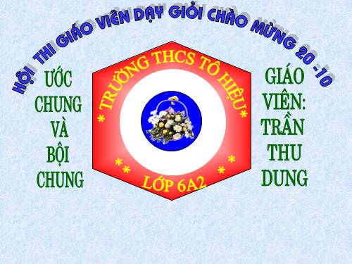 Các bài Luyện tập