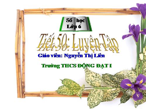 Các bài Luyện tập