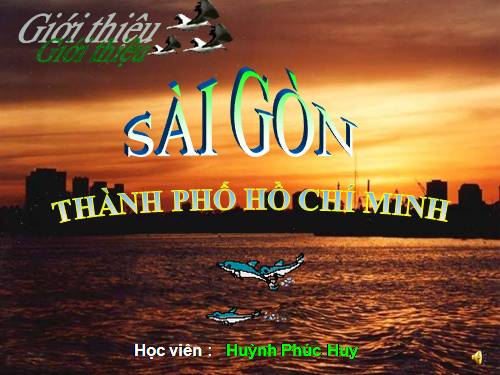 tin hoc ứng dụng hot