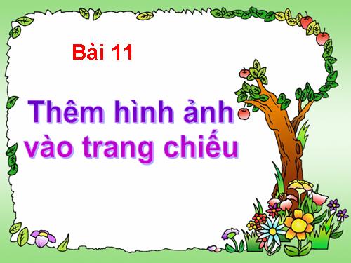 Bai 11 _ TH 9