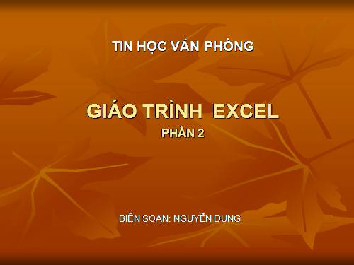 Excel - phần 2