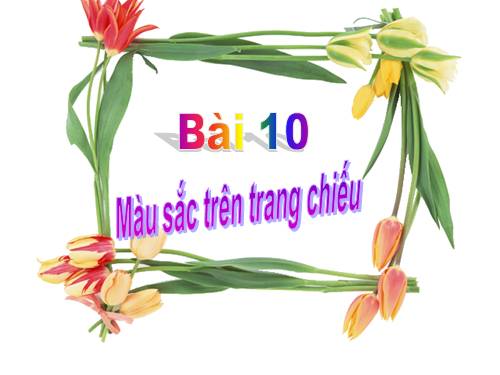 Bai 10 _ TH9